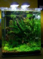 /album/fotogaleria-inicio/a4565318735-c3018915e6-jpg/