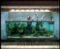 /album/fotogaleria-inicio/bigtank-jpg/